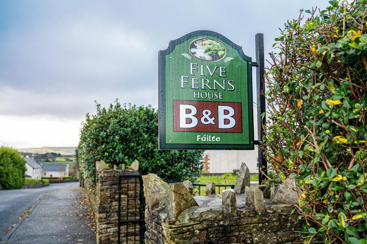 Bed and Breakfast Five Ferns House Westport Exteriér fotografie